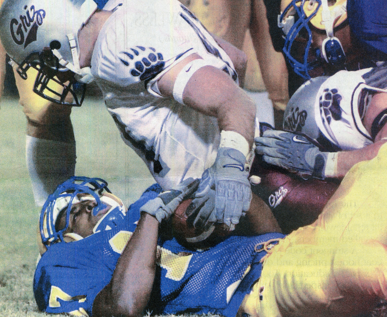 2002 NCAA Division I-AA Playoffs, Quarterfinal Round — McNeese State 24, Montana 20